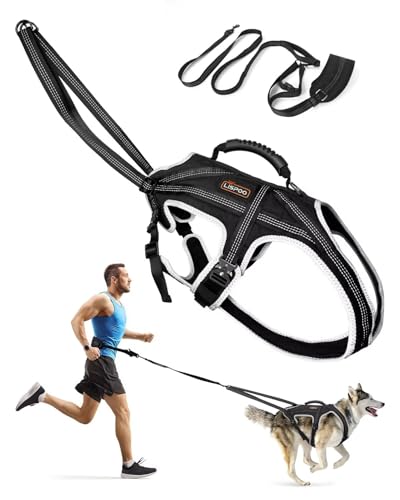LISPOO Dog Pulling Harness Set with Waist Belt & Shock-Absorbing Leash, Adjustable Sled Harness for...