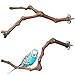 2 Piezas Perca de Pájaro, Perca de Loro Madera, Perchas Naturales Para Pájaros, Madera de Uva Salvaje Para Jaulas de Pájaros, Garras de Molido, Escalada, Periquitos, Cacatúas, Canarios, 2 Estilos