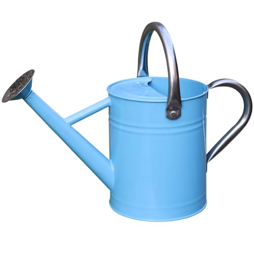 yourjoy Metal Watering Can One Gallon Watering Cans Stainless Steel for Outdoor Indoor Garden Plants Watering (Stainless Steel Handle Blue)