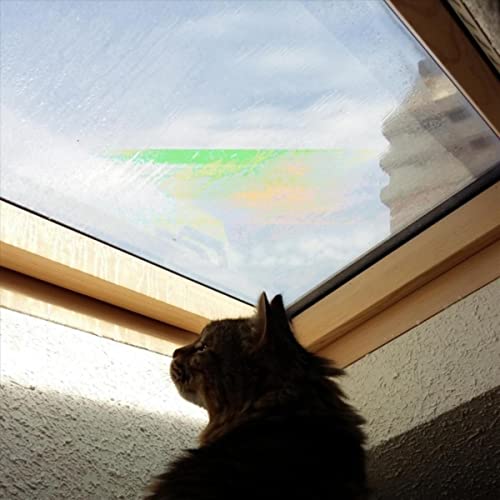 Me voy a Madrid, y esa noche bebo y lloro