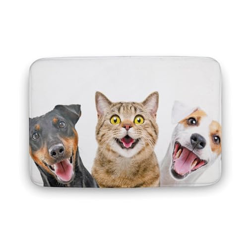 Č  L  oX}bg   z փ}bg  O   \ ~ Aj LN^[ @}bg   ʏ