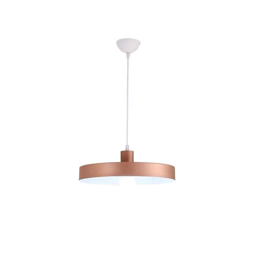 Suspension moderne Couleuraron lustre minimaliste or rose de qualite hoteliere