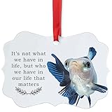 Panda Telescope Goldfish Christmas Ornament Its Not About What We Have in Life Pet Memorial Quote Benelux Aluminum Xmas Tree Decor Keepsake Gifts for Telescope Goldfish Lovers