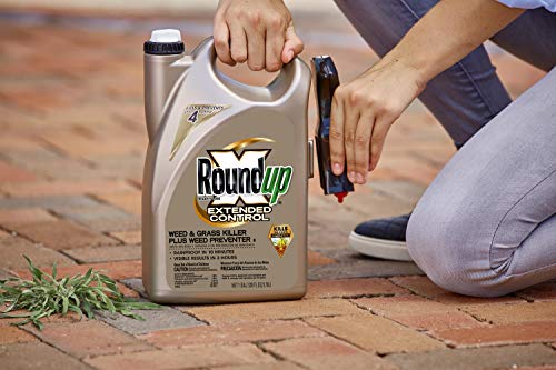 Roundup Ready-to-Use Extended Control Weed & Grass Killer Plus Weed Preventer II Trigger