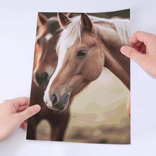 Autocollants de cheval imperméables qui résistent à l'eau pour ordinateur