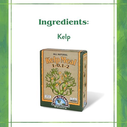 Down to Earth Organic Kelp Meal Fertilizer Mix 1-0.1-2, 4 lb