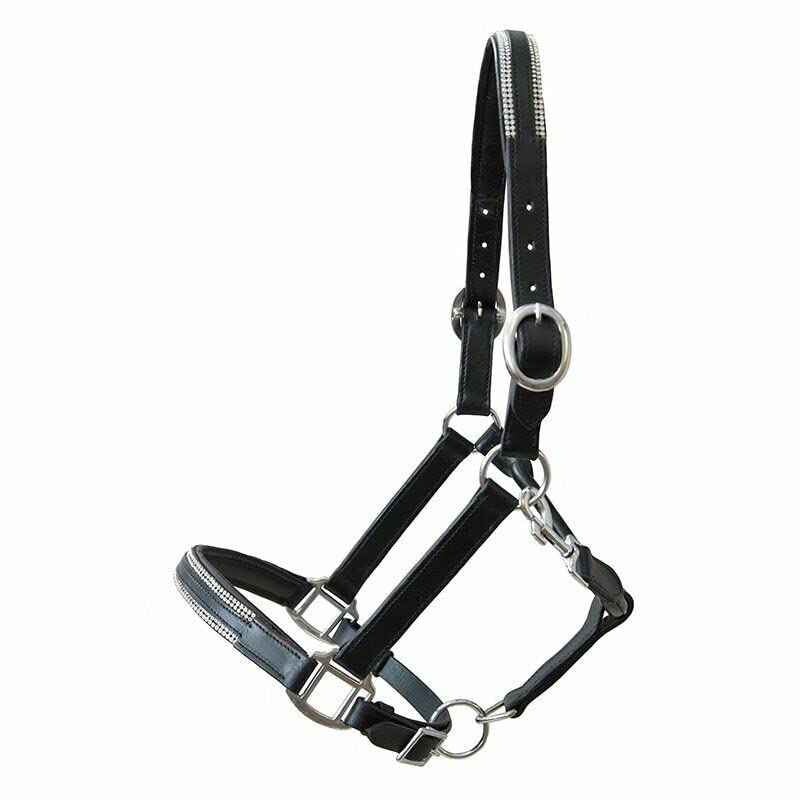 German Riding Lederhalfter Sparkle (Shetty)