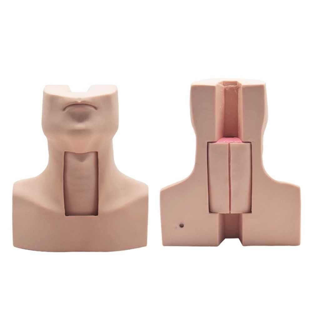 Tracheotomy Care Training Manikin PVC Tracheostomy Simulator Model with Aluminum Case for Hospitals, Schools, Research Centre etc