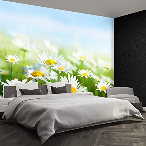 Papier Peint Marguerite Verte Masquer Imperfections Rénovation Murale