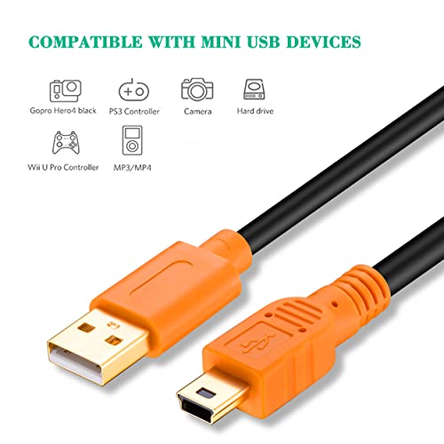 Tan QY 10Ft Orange Mini USB Cable, USB 2.0 Type A to Mini B, Compatible with GoPro, MP3 Players, Digital Cameras, GPS, PDAs, etc.