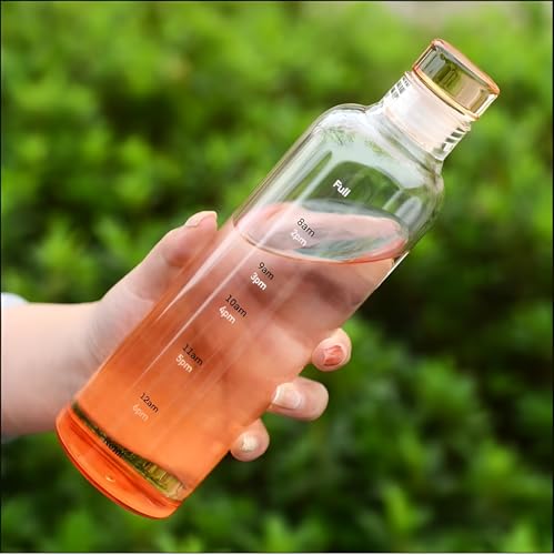 Image of Glass Water Bottle for Adults, Student Direct Drinking Freezer Safe, Leak Proof, Gym Travel On-The-Go Hotel-Style Design Borosilicate Glass Water Bottle With Time Marker (ORANGE)