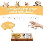 Stainless Steel Cat Bowl-Shallow Wide Flat Cats Food Bowls,Metal Kitten Dishes Whisker Friendly Fatigue Relief,Replacement Basic Kitty Plates for Elevated Stand,Dishwasher Safe（Set of 5） - Image 6