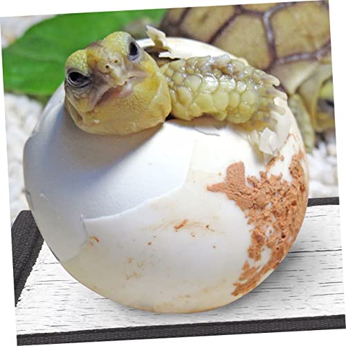 Almohadillas calefactoras para reptiles Hemoton 4 unidades miniatura 6