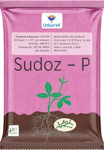 Image of Utkarsh Pseudomonas Fluorescens Powder 1.0% W.P. CFU Count: 1 x 10^8 / gm. min. for Plants, Crops and Home Gardening - Sudoz-P (250 gm; Pack of 1)