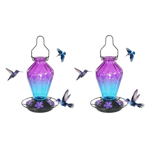 Image of 2 Pack Glass Hummingbird Feeder for Outdoors Hanging, 25Oz Humming Bird Nectar Feeder, Perch, 5 Flower Feeding Ports, Leak Proof Base, Hook for Outside Garden Backyard, Diamond Purple