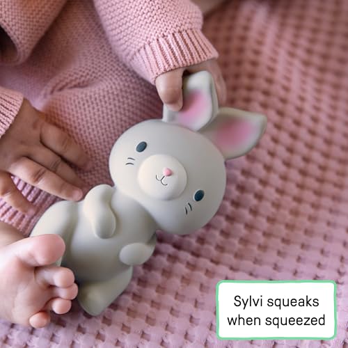 Sylvi Natural Rubber Baby Teether Toy, Rabbit Teething Toy for Sore Gums 0-6 Months, Soft Sensory Chew Toy Easy to Grasp for Infants 0+ Months, Gender Neutral by Ingenuity - Image 2