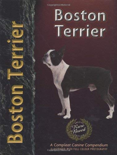 Boston Terrier (Pet love)