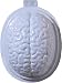 Forum Novelties 2 Piece Brain Gelatin Mold, White
