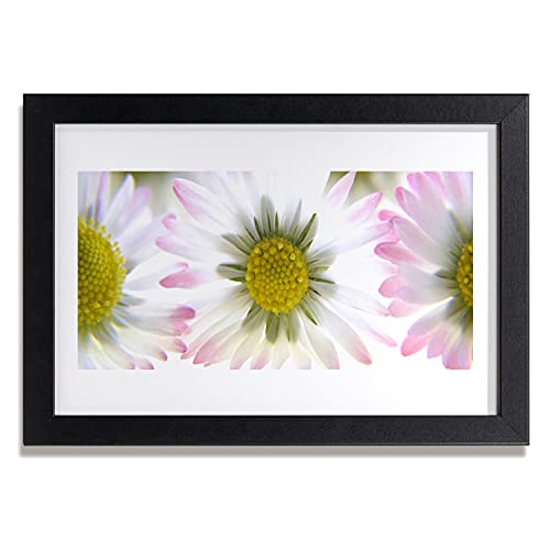 Affiche encadrée pour habiller un mur vide cadre MDF 30x20 cm Tulup