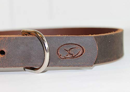 Full Grain Thick Leather Dog Collar (L/Xl: 20"-24", Dark Brown) #TOP2