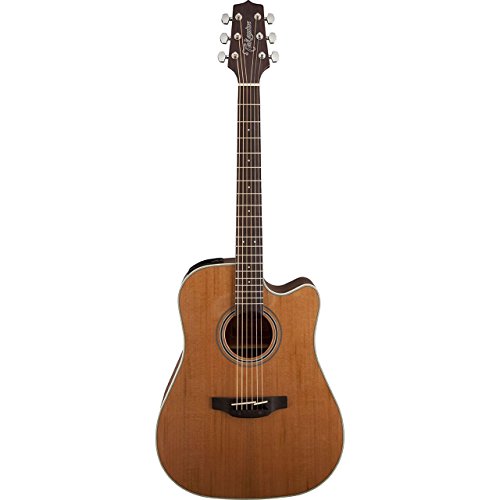 Takamine Satin naturel GD20CE. - Les Beatles, Paul McCartney, John Lennon, RIngo Starr, George Harrison Takamine Satin naturel GD20CE.