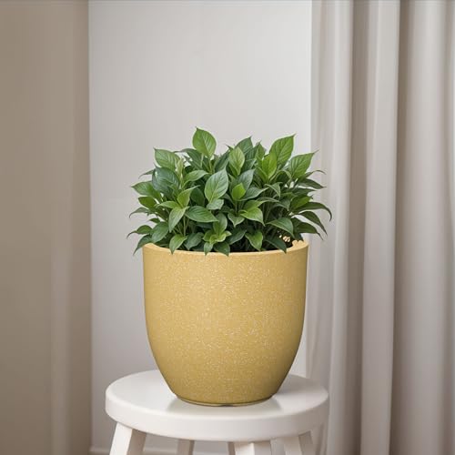 Image of YUCCABE ITALIA FOXB PCUP 10 INCH Pots for Plants Highly Durable Polymers Lightweight Indoor Outdoor Flower Pot Gamla Tree Planter Container Planters for Living Room, Balcony, Garden, Office