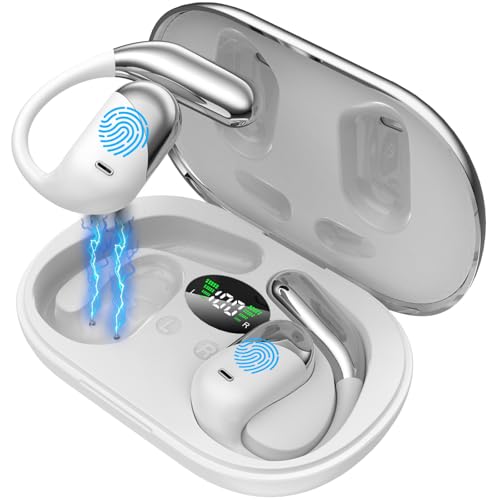 Paekole YYK-Q16 Translation Earbuds