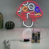 FLAGMEE Portable Battery Pack for Neon Signs - 5V LED Neon Sign Power Supply, Convert Plug-in Neon Lights to Battery-Operated (3AA, Transparent)