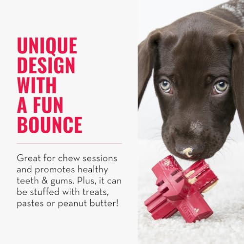 KONG Jump'N Jack - Hundespielzeug zum Kauen und für die Zahngesundheit - Aus Naturkautschuk - Für Große Hunde