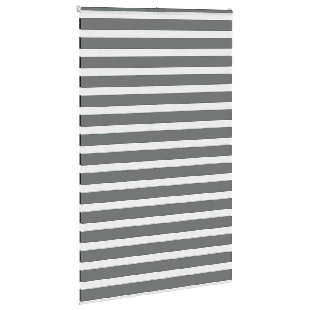 Store Zebre Gris Fonce 135,9 cm Polyester