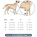 Fico Dog Elbow Brace (Right Leg) – Adjustable Front Leg Support for Elbow Dysplasia, Arthritis & Pain Relief – Includes Removable Splints – Vet Approved, Lightweight – 4 Sizes (XS–L) (Medium)