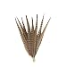 Zucker Feather Products Assorted Natural Pheasant Tails Feathers, 14 to18-Inch