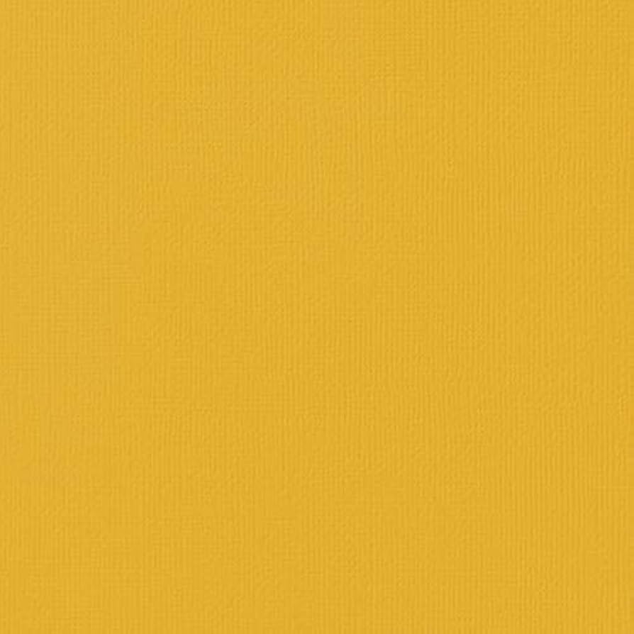 マスタード様オーダーページ Amazon.co.jp: 25 Pack American Crafts Textured Cardstock 12