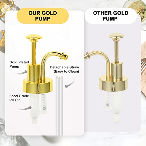 2 Pack 16.9Oz Coffee Syrup Dispenser For Coffee Bar With Labels And Gold Pump, 500Ml Syrup Bottles For Coffee Bar Home Bar, Bpa Free & Durable Transparent Glass Coffee Syrup Dispenser Bottles #TOP5