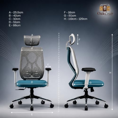 Image of Oakcraft Ergonomic Office Chair with Multi-Lock Tilt, Seat Slider & Dynamic Lumbar Support