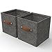 DABAGY® Aufbewahrungsboxen Filz | passend für IKEA Kallax Regale | hochwertige Aufbewahrungskiste mit zwei Griffen für mehr Ordnung | Aufbewahrungskörbe in 33cm x 33cm x 33cm (2er Set)