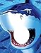 Photo Opportunity Poster, Shark Splash