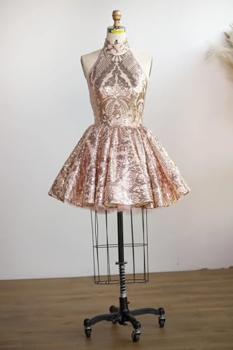Halter Homecoming Dresses 2025 Sequin Short Prom Dresses Plus Size Lace Applique Cocktail Gowns4
