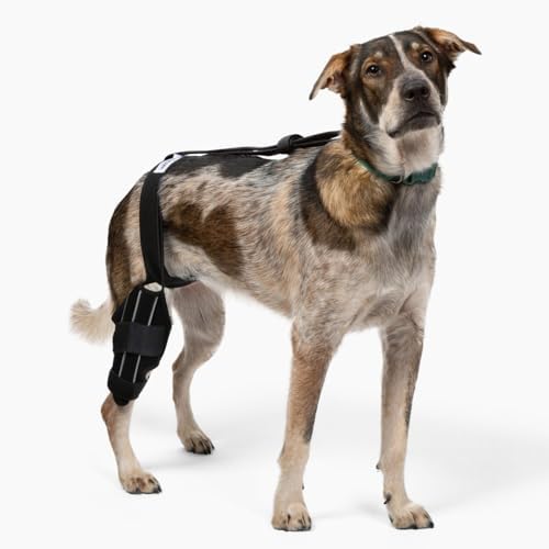 Off The Leash Dog Knee Brace, Leg Brace for Dogs Helps