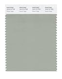 PANTONE Smart 16-0110X Color Swatch Card, Desert Sage