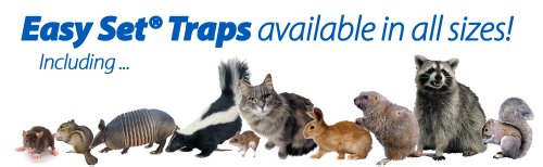Havahart Easy Set Small 1-Door Animal Trap for Rats and Small Squirrels - 1082-Made in the USA - Thumbnail 6