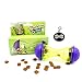 Cat Interactive feeder treated toy Bone shape plus Style Fashion Key Chain Pet tag identification