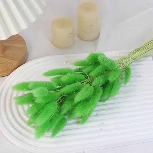 Decoración con hierba pampas seca 20 piezas 45 cm