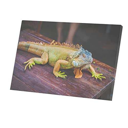 Tableau Iguane Vert Toile Déco Salon Ambiance Nature Tropicale
