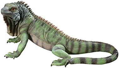 Design Toscano QL56991 Iggy The Iguana Garden Statue, 22 Inch, Large, Full Color