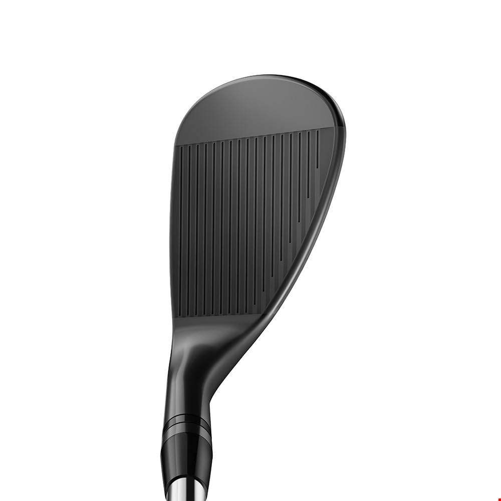 Amazon | Titleist Wedge Vokey SM11 ジェットブラック RH DG S200