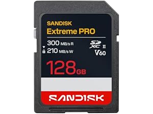 Amazon.com: SANDISK 128GB Extreme PRO CFexpress 4.0 Type B, Up to