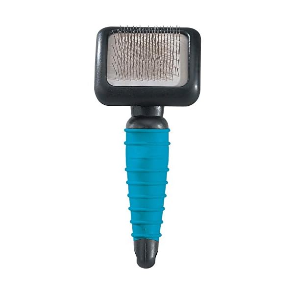 Master Grooming Tools Ergonomic Slicker Brushes — Molded Brushes for Grooming Dogs - Small, 3⅛" x 2½", Teal