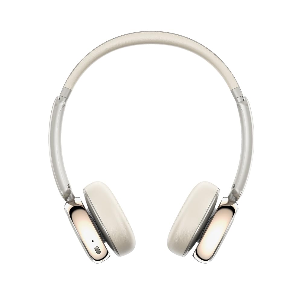 Amazon.co.jp: FIIO Snowsky ANYTIME【日本正規店より発送】フィーオ
