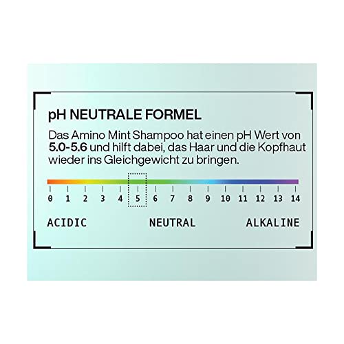 Redken Amino Mint Shampoo: Erfrischendes Haarshampoo gegen fettige Haare – Ansicht 5